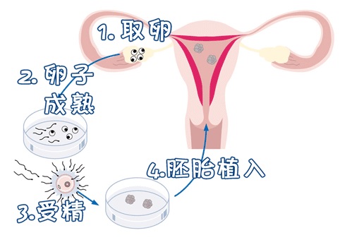 安悦佳妇产医院